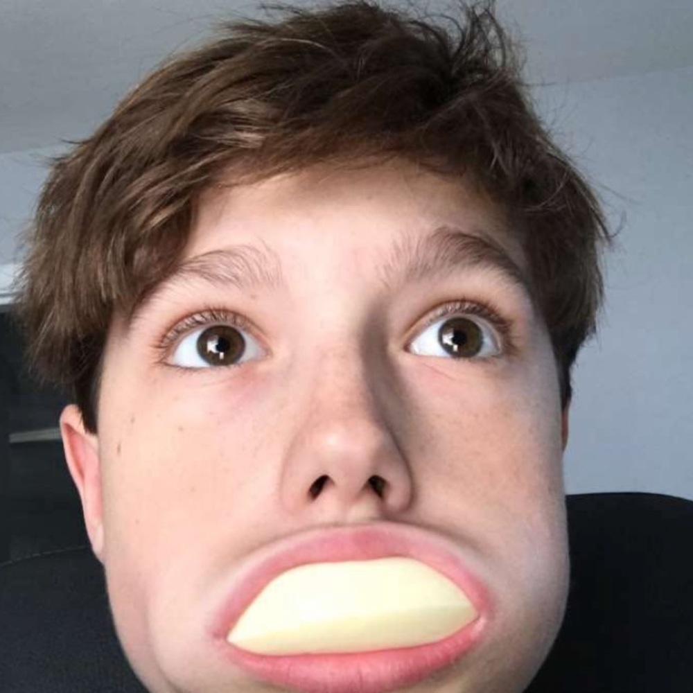 Meet your Posher, Wyatt